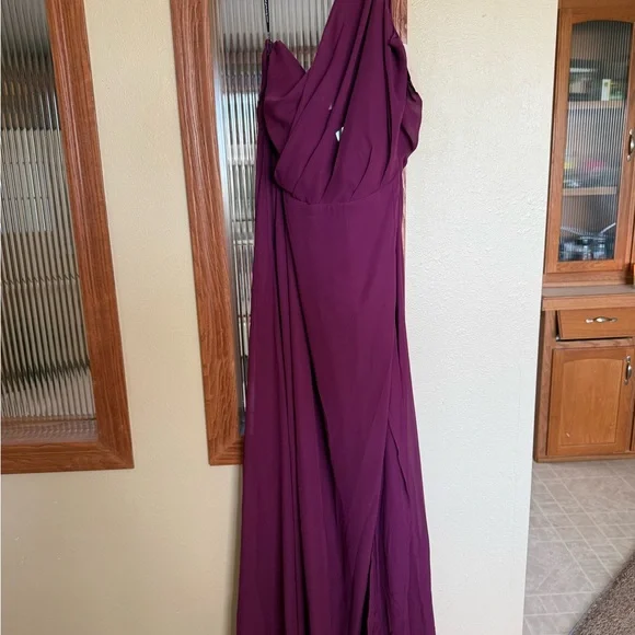 Birdy Grey Kira Dress in Fig - Picture 2 of 2